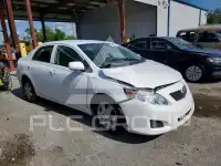 2010 Toyota COROLLA photo