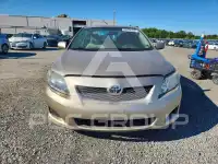 2010 Toyota COROLLA фото
