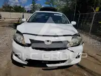 2010 Toyota COROLLA фото