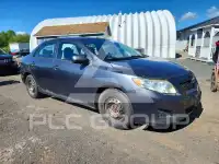 2010 Toyota COROLLA фото