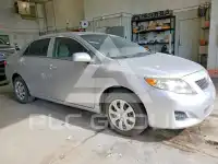 2010 Toyota COROLLA photo