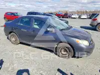 2010 Toyota COROLLA фото