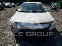 2010 Toyota COROLLA фото