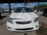 2010 Toyota COROLLA photo