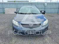 2010 Toyota COROLLA photo