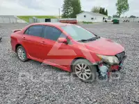2010 Toyota COROLLA фото