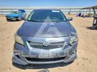 2010 Toyota COROLLA photo