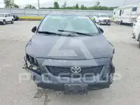 2010 Toyota COROLLA фото