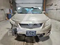 2010 Toyota COROLLA photo