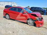 2010 Toyota COROLLA фото