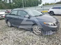 2010 Toyota COROLLA photo