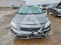 2010 Toyota COROLLA фото