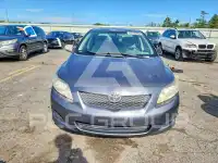 2010 Toyota COROLLA фото