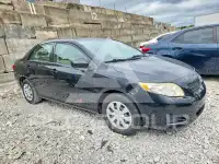 2010 Toyota COROLLA photo