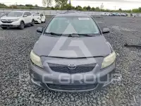 2010 Toyota COROLLA photo