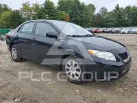 2010 Toyota COROLLA photo