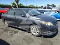 2010 Toyota COROLLA фото