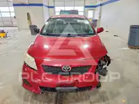 2010 Toyota COROLLA фото