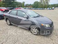 2010 Toyota COROLLA фото
