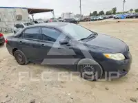 2010 Toyota COROLLA photo