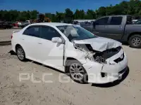 2010 Toyota COROLLA photo