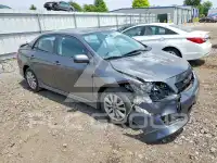 2010 Toyota COROLLA фото