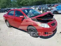2010 Toyota COROLLA photo