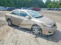 2010 Toyota COROLLA фото