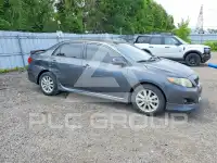 2010 Toyota COROLLA фото