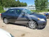 2010 Toyota COROLLA photo