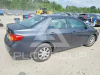 2010 Toyota COROLLA фото