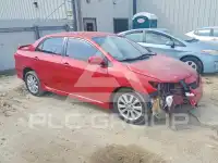 2010 Toyota COROLLA фото