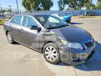2010 Toyota COROLLA фото
