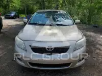 2010 Toyota COROLLA фото