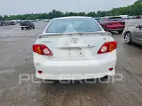 2010 Toyota COROLLA photo
