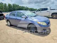 2010 Toyota COROLLA photo