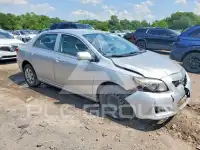 2010 Toyota COROLLA photo