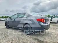 2010 Toyota COROLLA photo