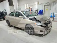 2010 Toyota COROLLA фото