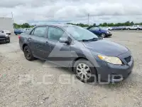 2010 Toyota COROLLA photo