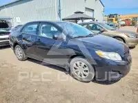 2010 Toyota COROLLA фото