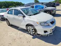 2010 Toyota COROLLA photo