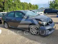 2010 Toyota COROLLA photo