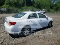 2010 Toyota COROLLA фото
