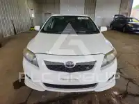2010 Toyota COROLLA фото