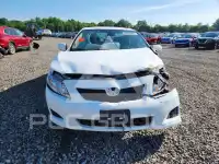 2010 Toyota COROLLA photo