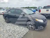 2010 Toyota COROLLA photo