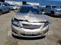 2010 Toyota COROLLA фото