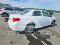 2010 Toyota COROLLA фото