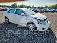 2010 Toyota COROLLA photo